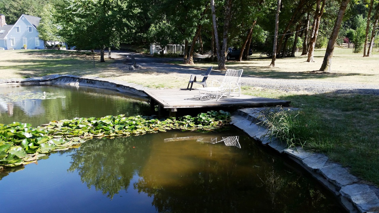 Photo of Outdoor in Eugene