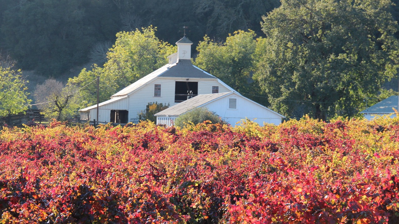 Photo of Outdoor in Eldridge
