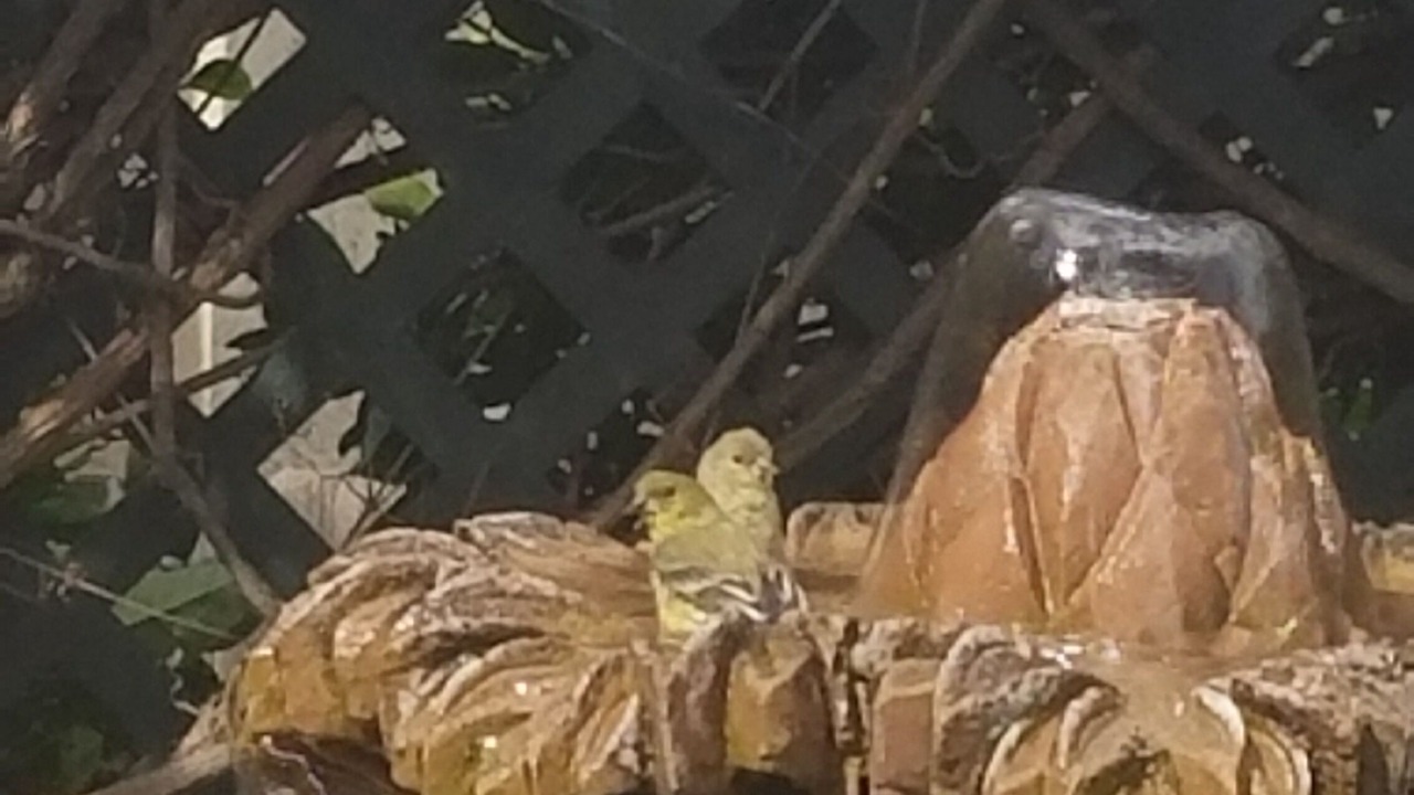 Photo of Outdoor in Vista