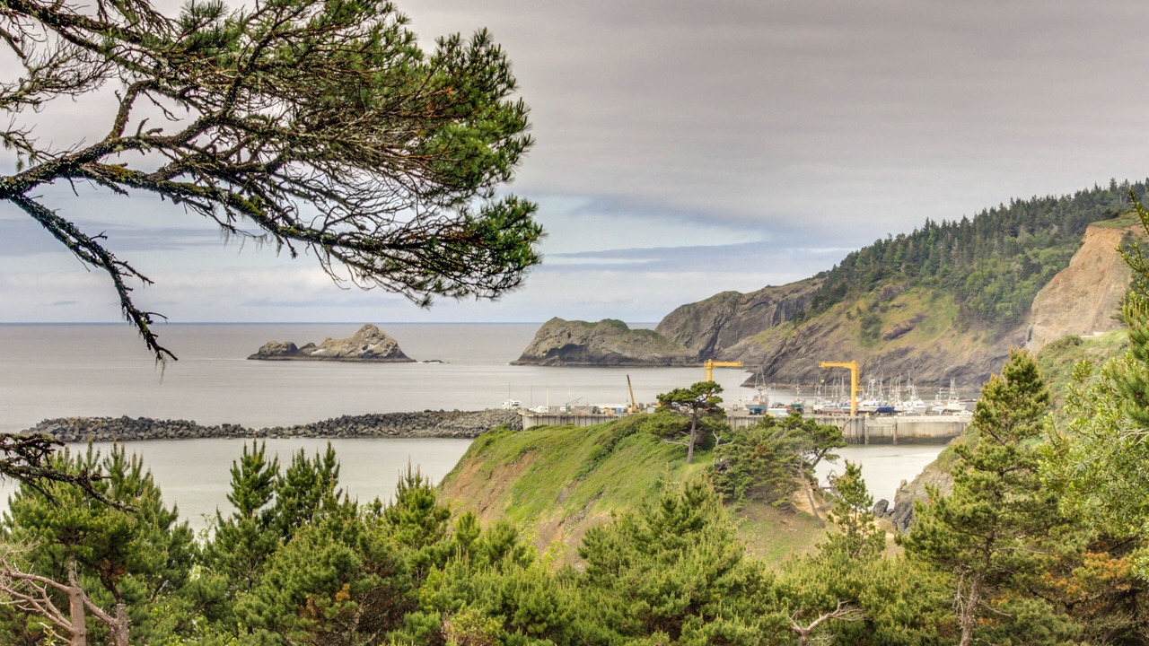 Photo of Others in Port Orford