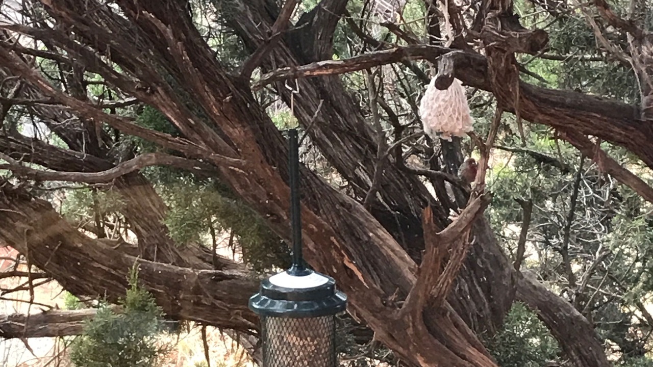 Photo of Others in West Sedona