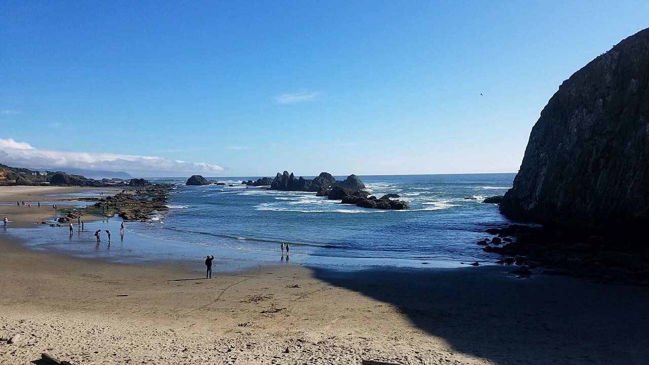 Photo of Others in Seal Rock