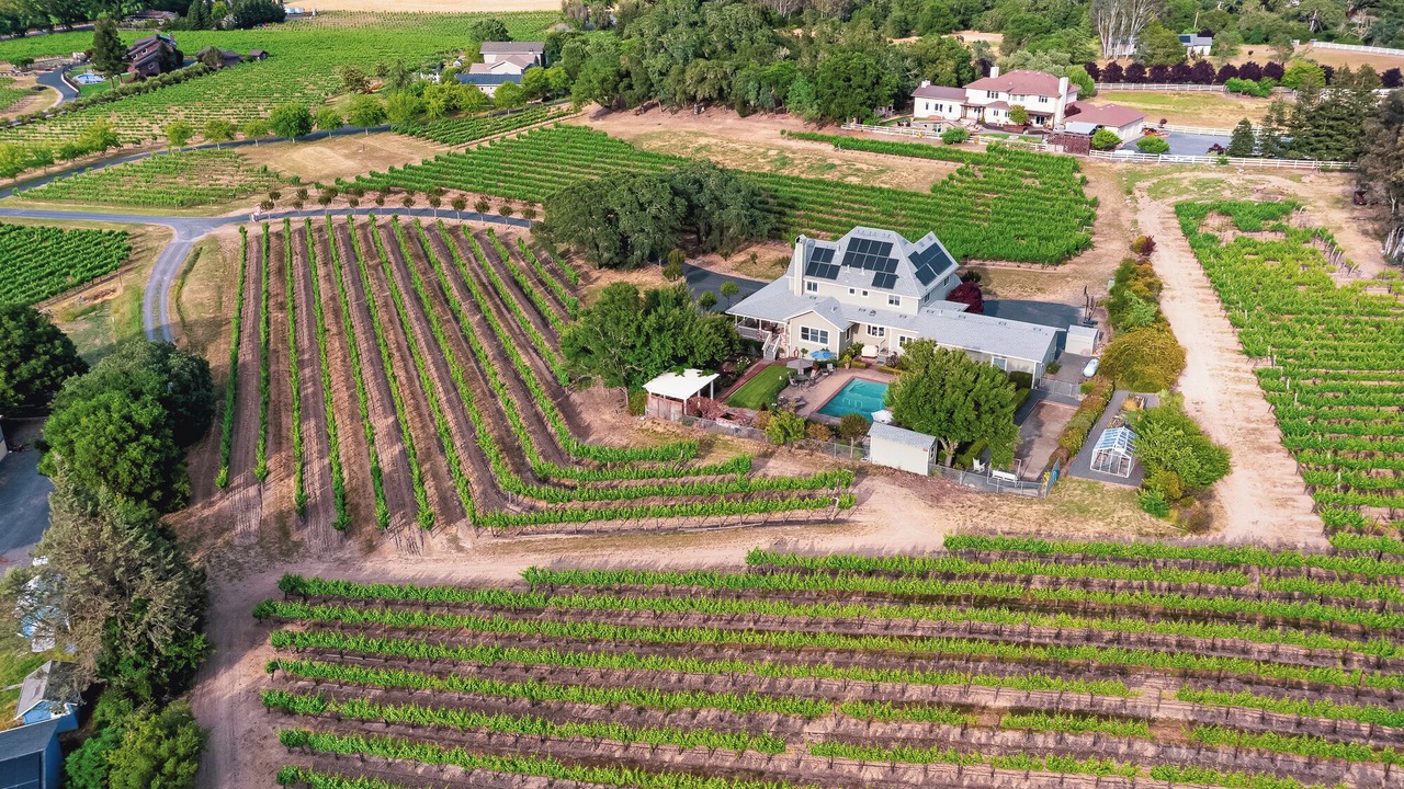 Photo of Outdoor in Healdsburg