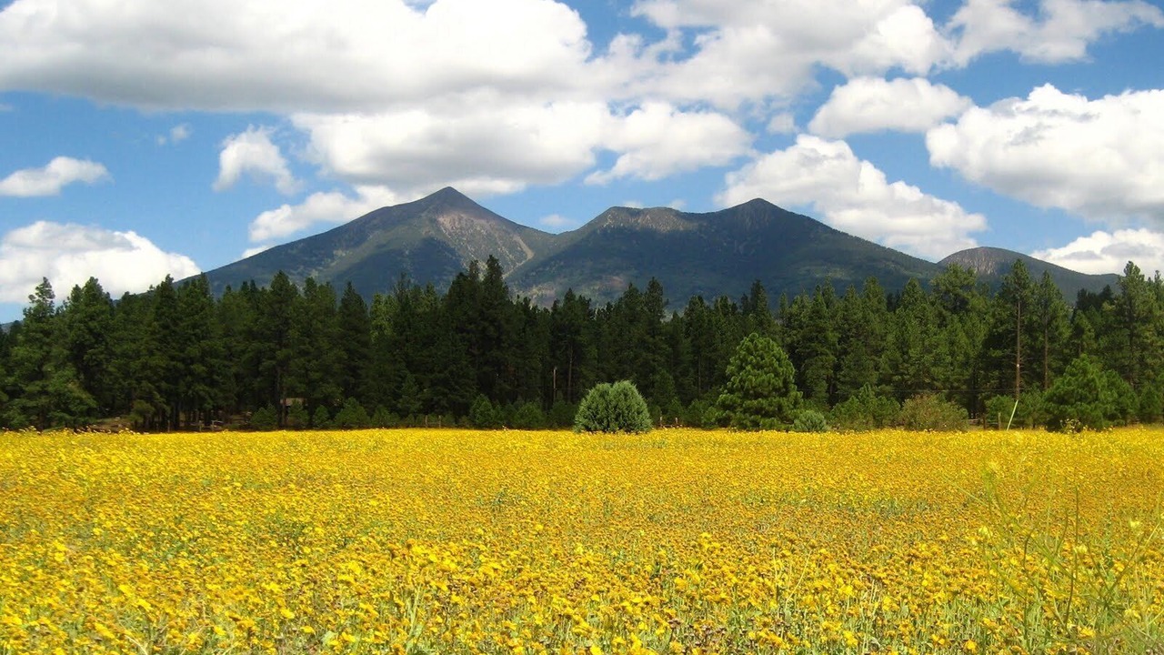 Photo of Outdoor in Kachina Village