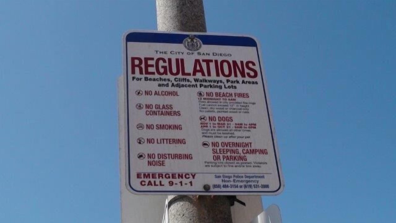 Photo of Others in Central Mission Beach