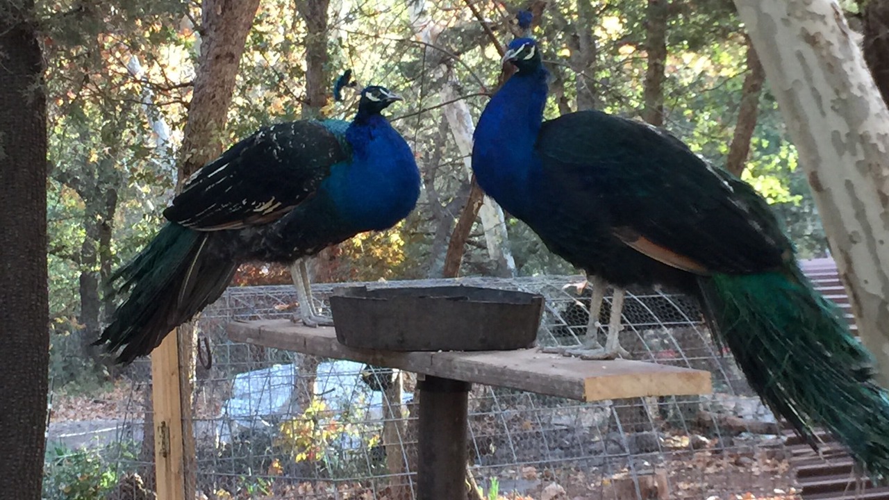 Photo of Others in Sedona