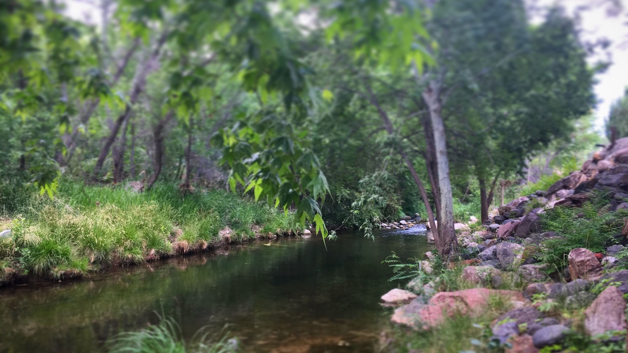 Photo of Outdoor in Rimrock