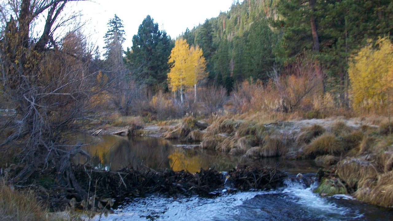 Photo of Others in Christmas Valley