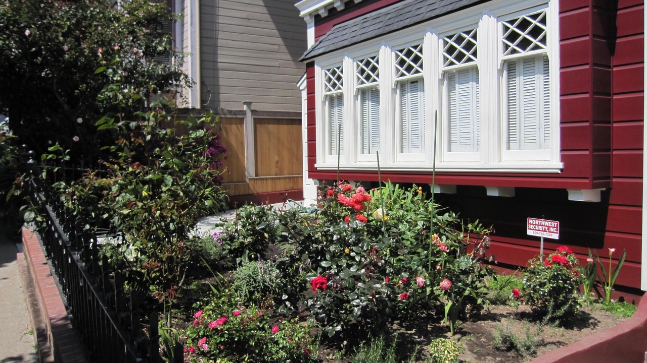 Photo of Others in Pacific Heights