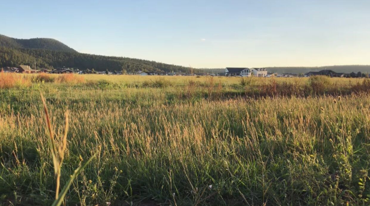 Photo of Outdoor in Fort Valley
