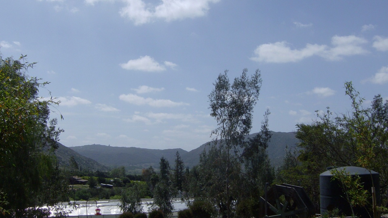Photo of Others in Fallbrook