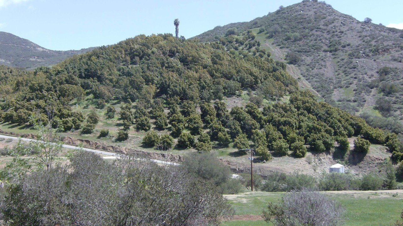 Photo of Others in Fallbrook
