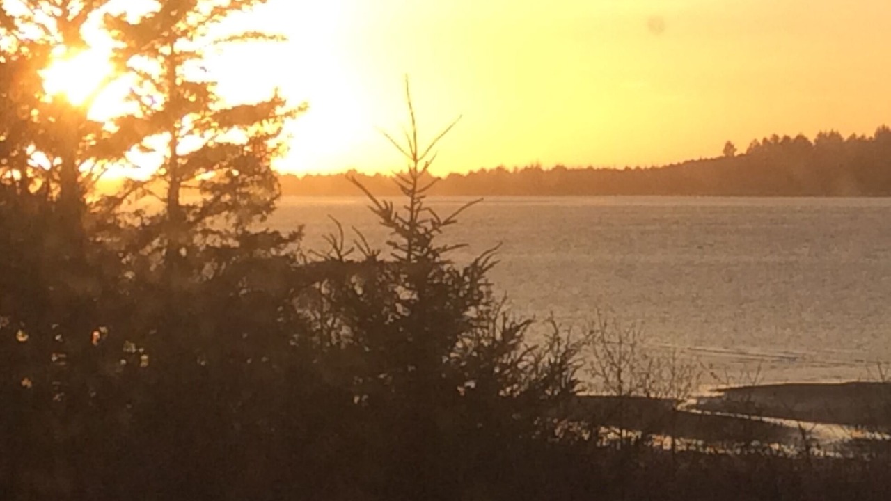 Photo of Others in Coos Bay