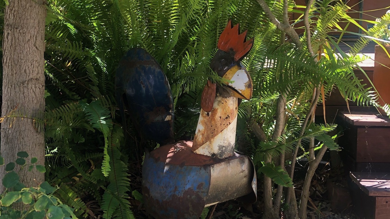 Photo of Outdoor in Mar Vista