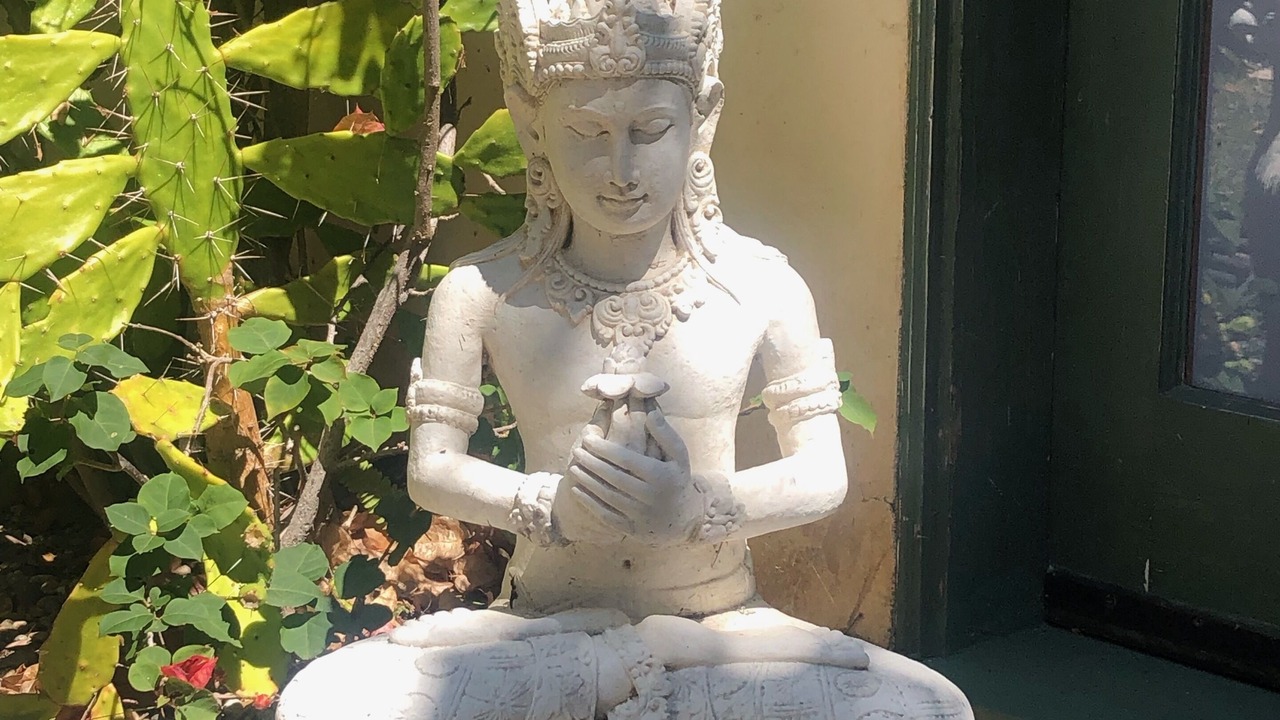 Photo of Outdoor in Mar Vista