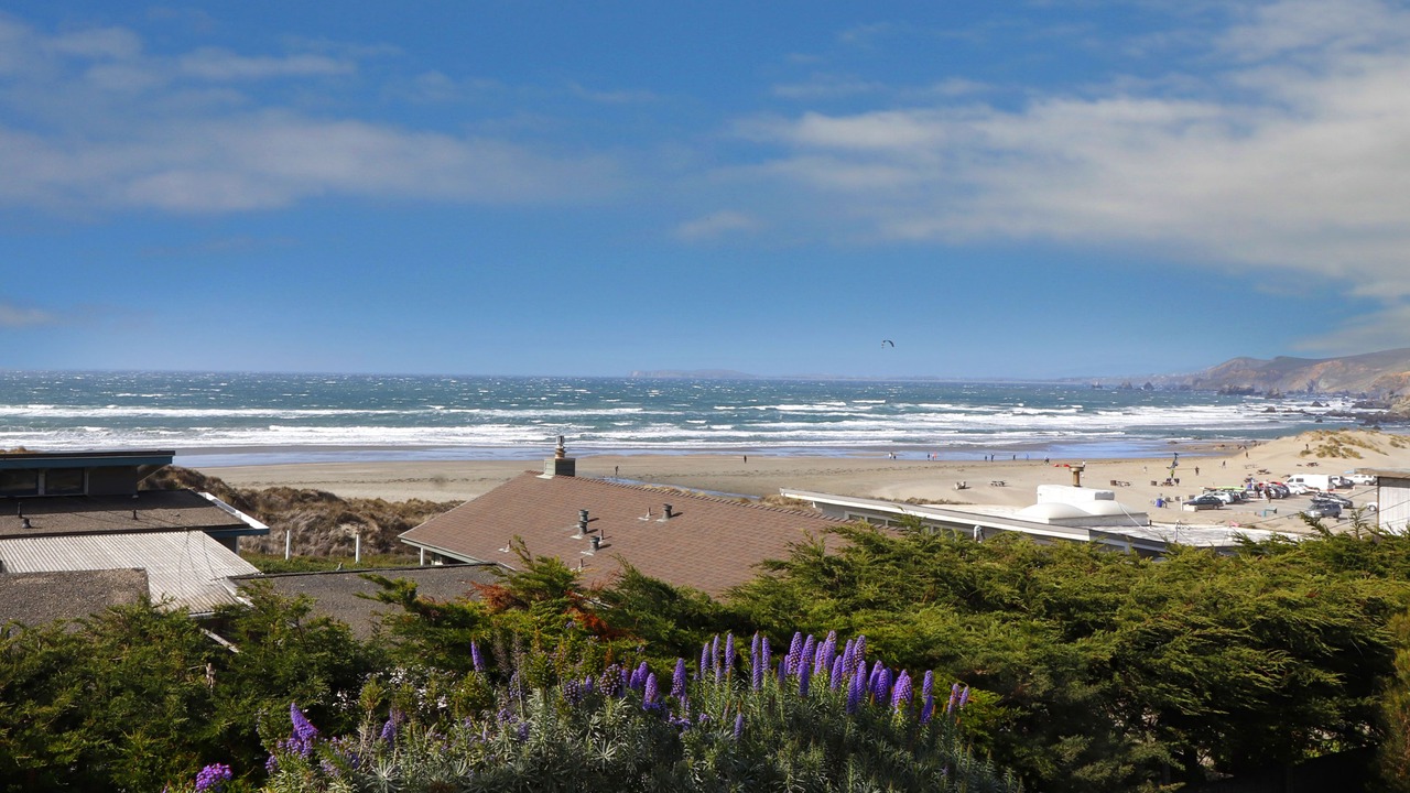Photo of Others in Dillon Beach