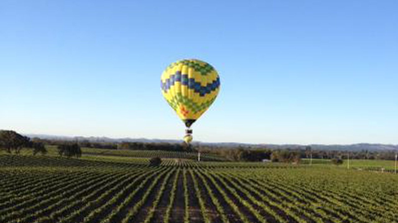 Photo of Others in Healdsburg