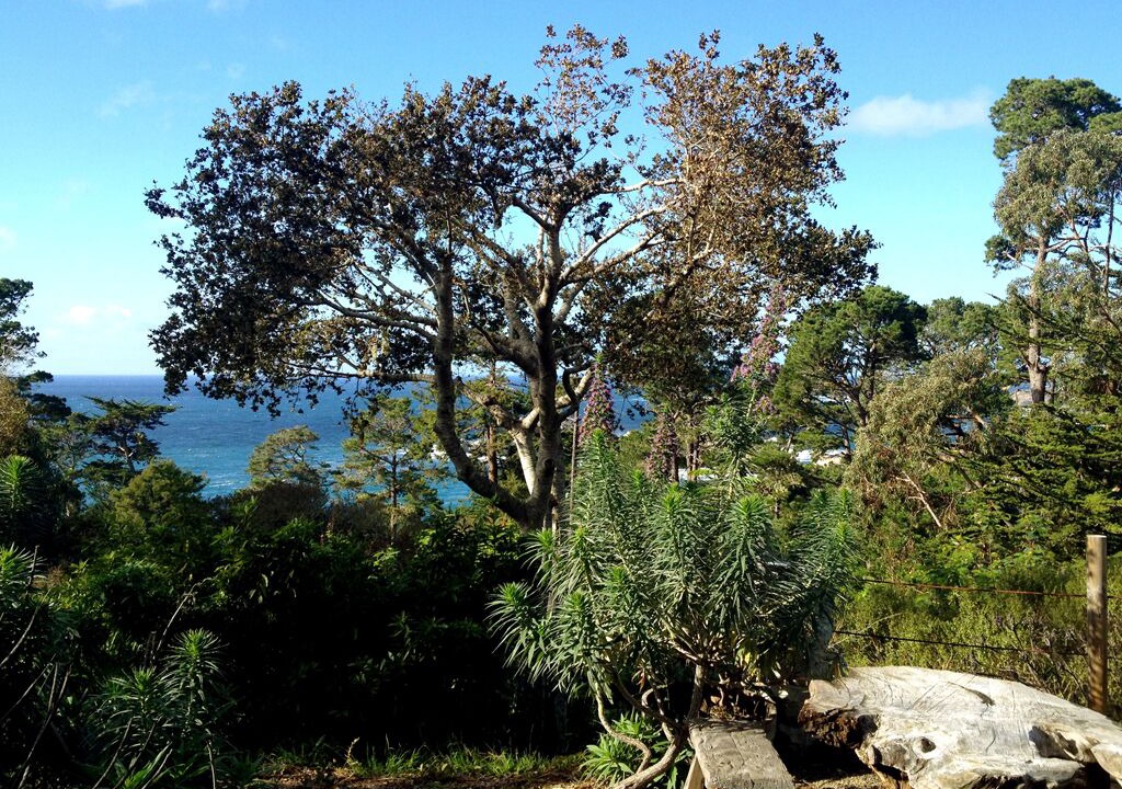 Photo of Others in Carmel Highlands
