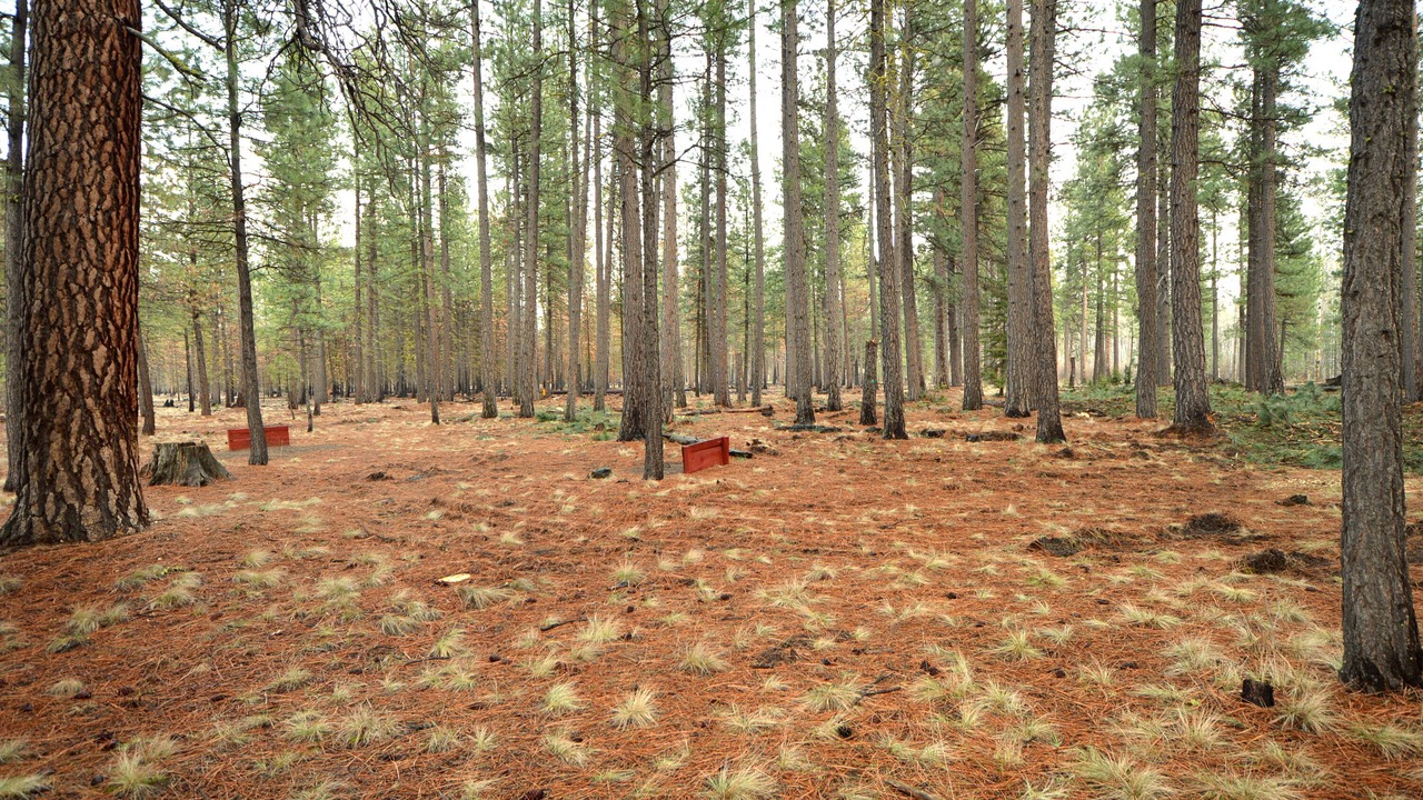 Photo of Others in Black Butte Ranch