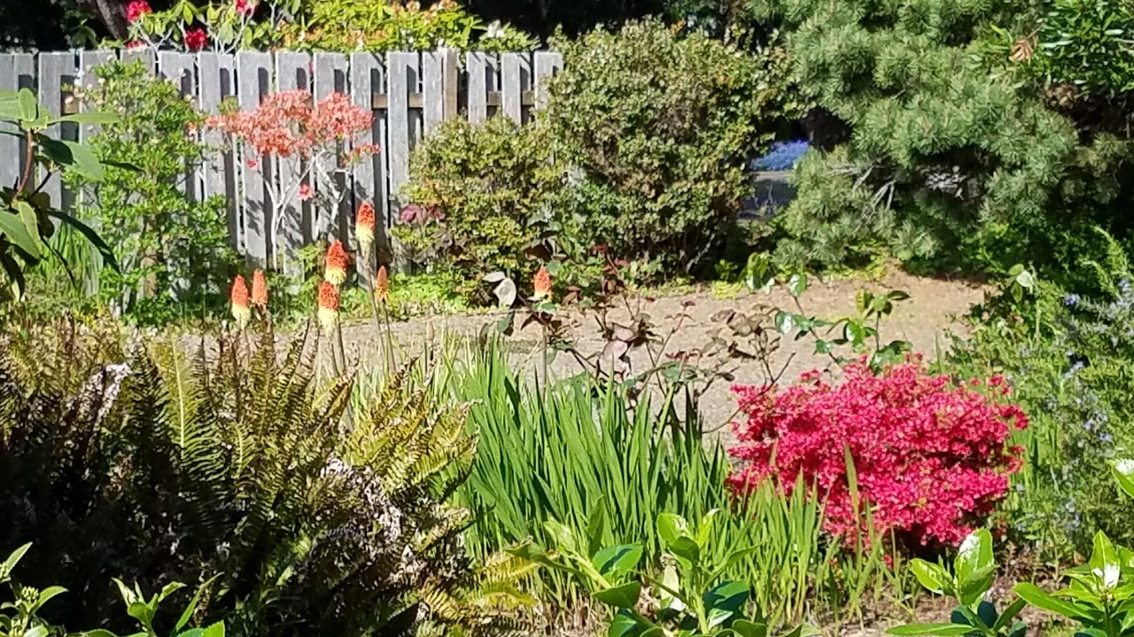 Photo of Outdoor in Gleneden Beach