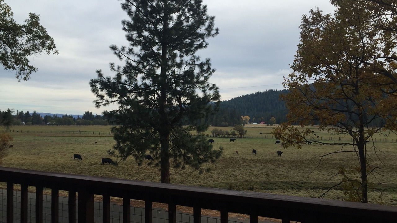 Photo of Others in Mount Shasta