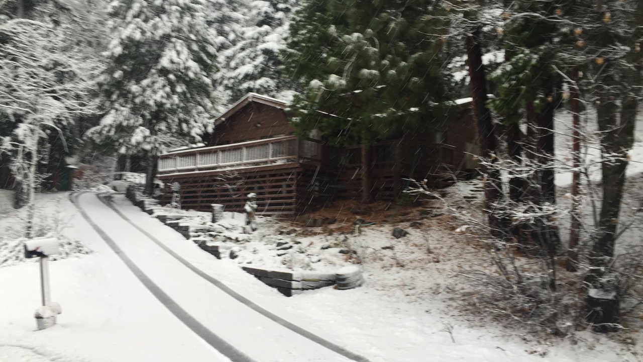 Photo of Others in Mount Shasta