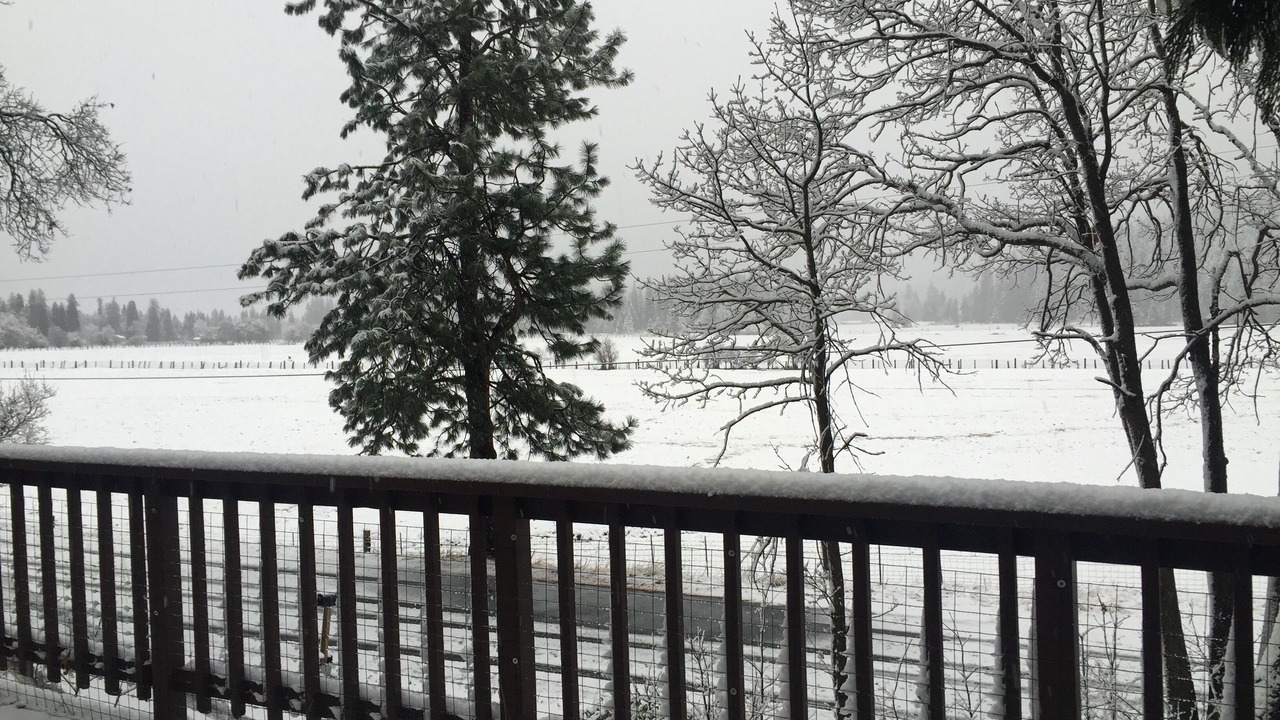 Photo of Others in Mount Shasta