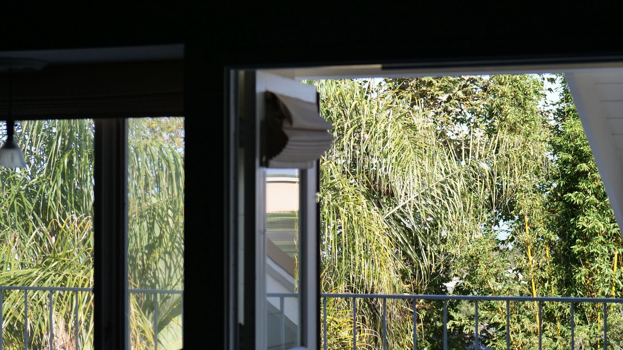 Photo of Patio Balcony in Del Mar Heights