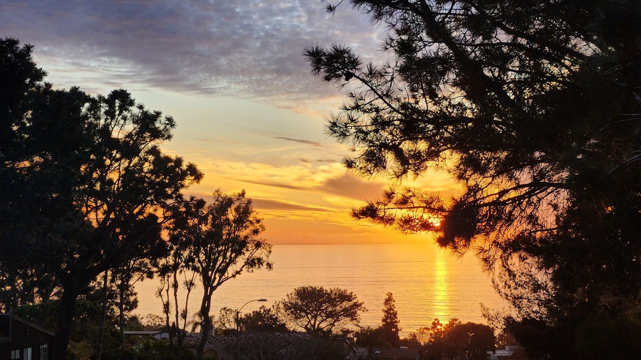Photo of Others in Del Mar Heights