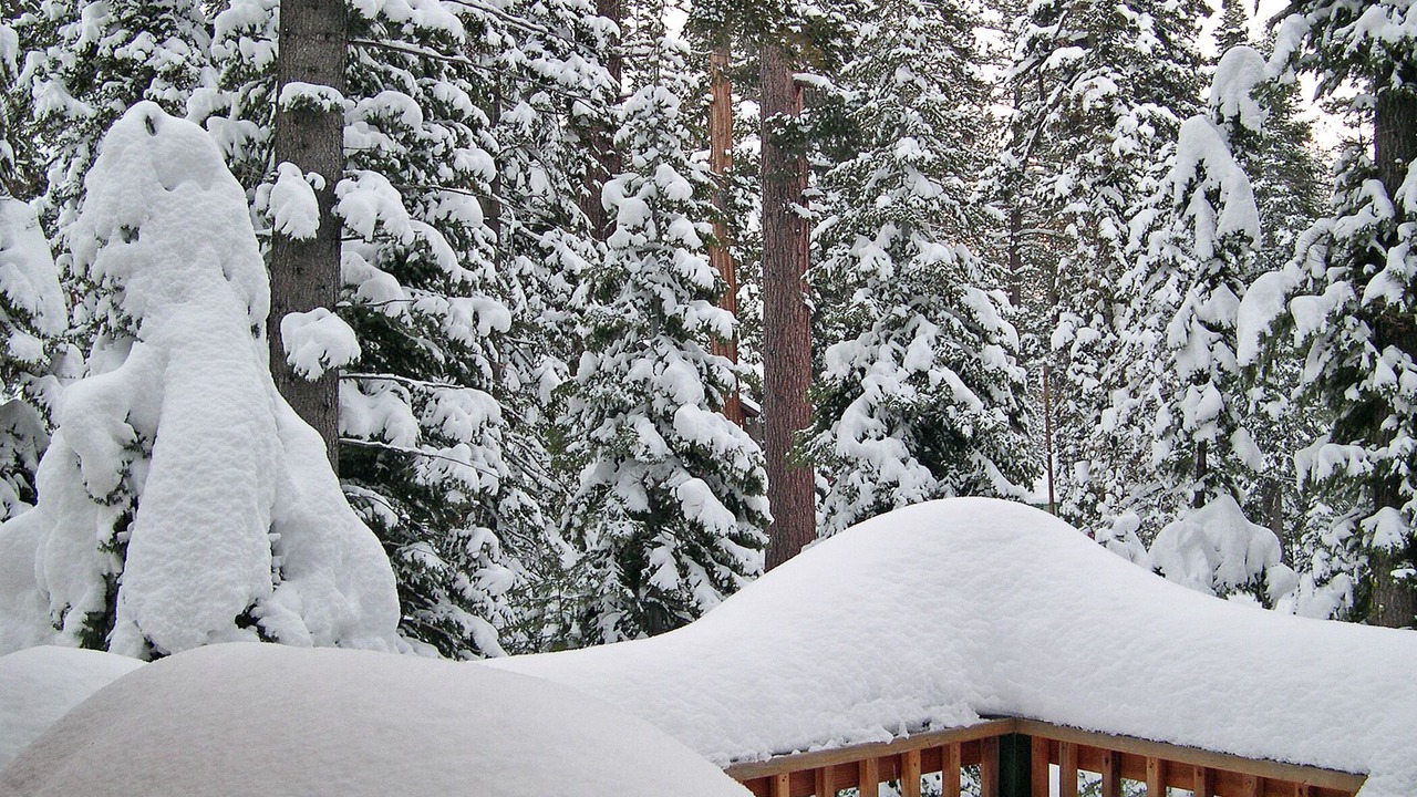 Photo of Others in Tahoma