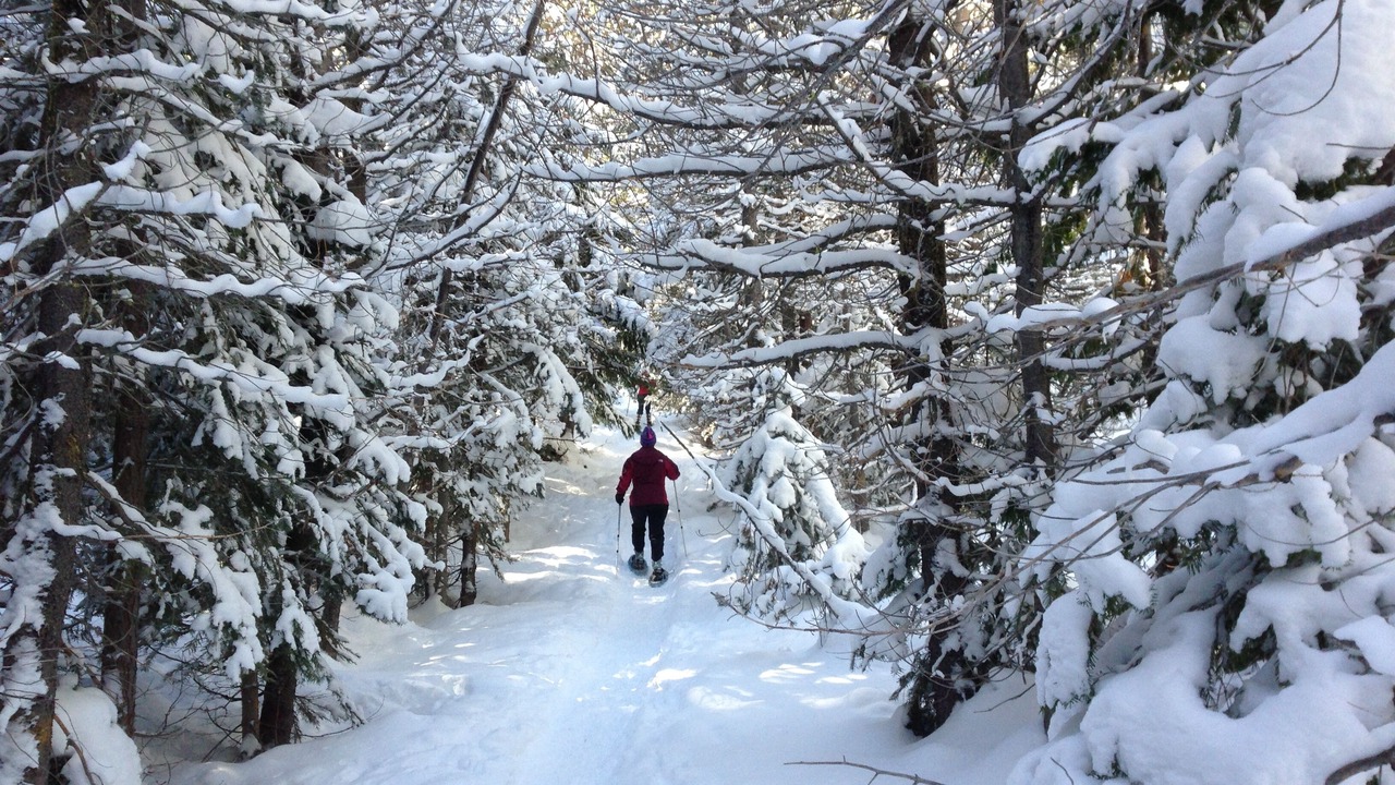 Photo of Others in Tahoma