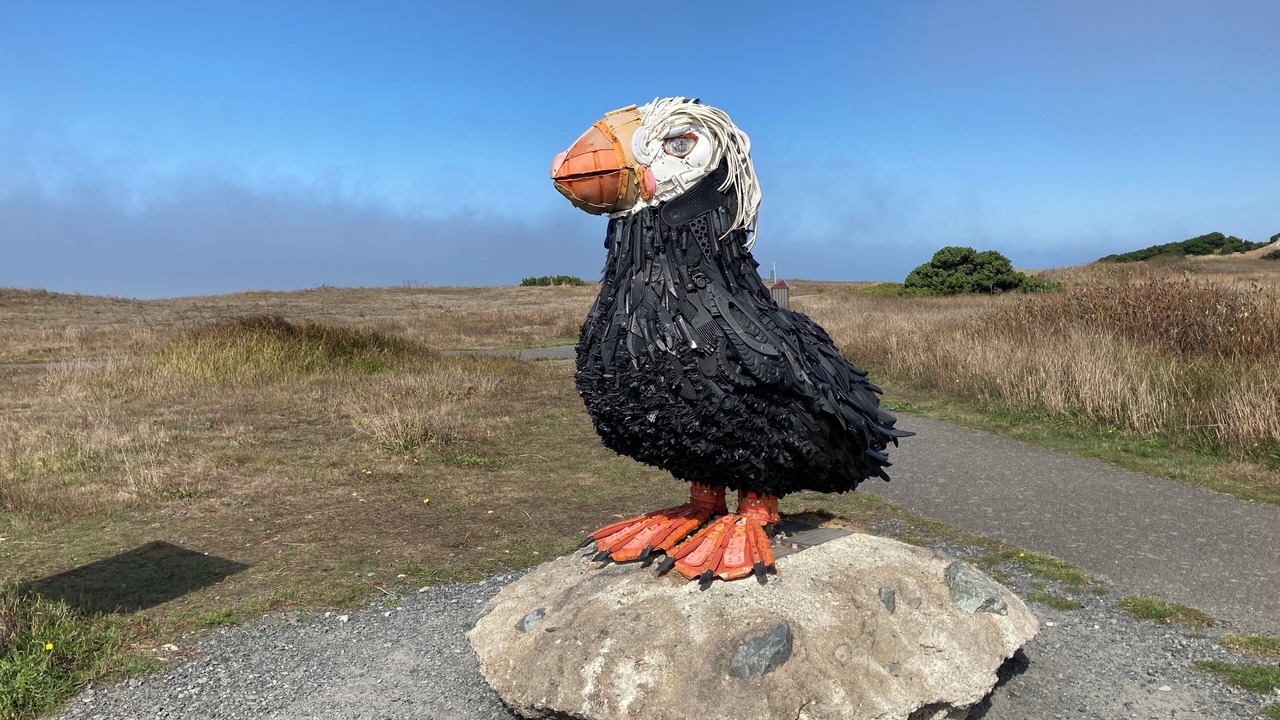 Photo of Others in Bandon
