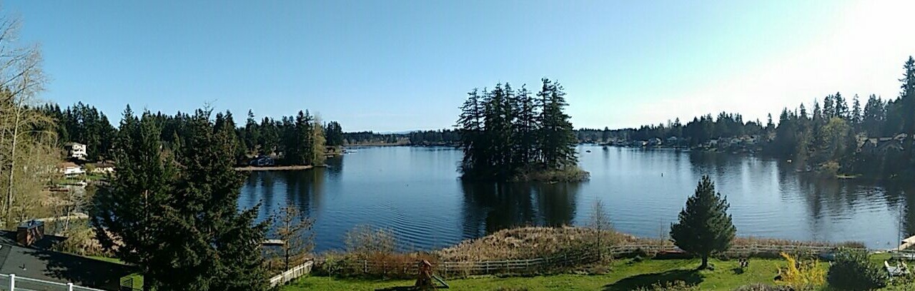 Photo of Others in Lacey