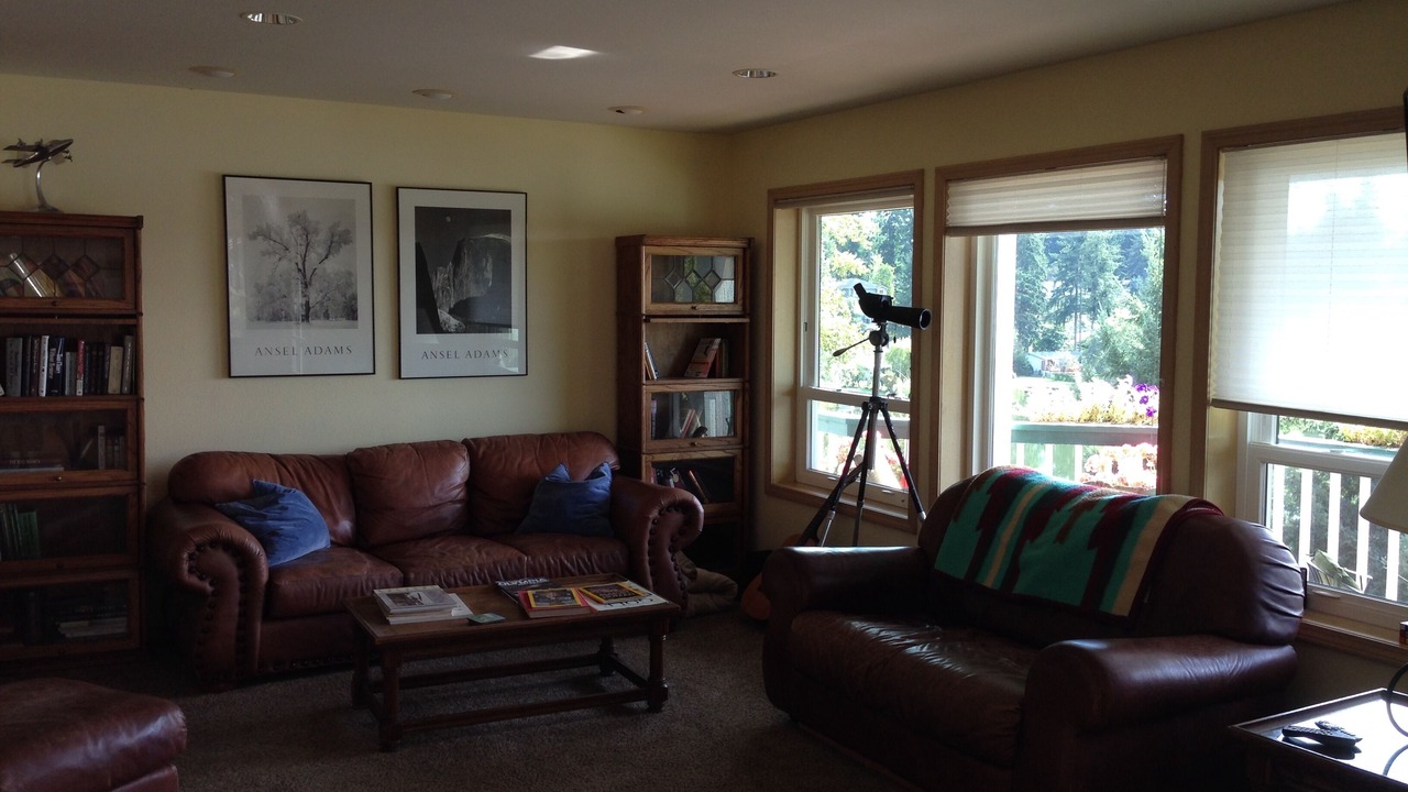Photo of Livingroom in Lacey