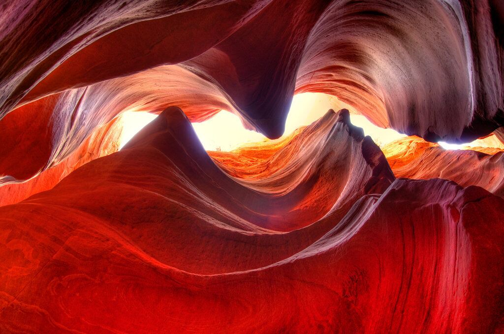 Photo of Others in Zion National Park East Entrance