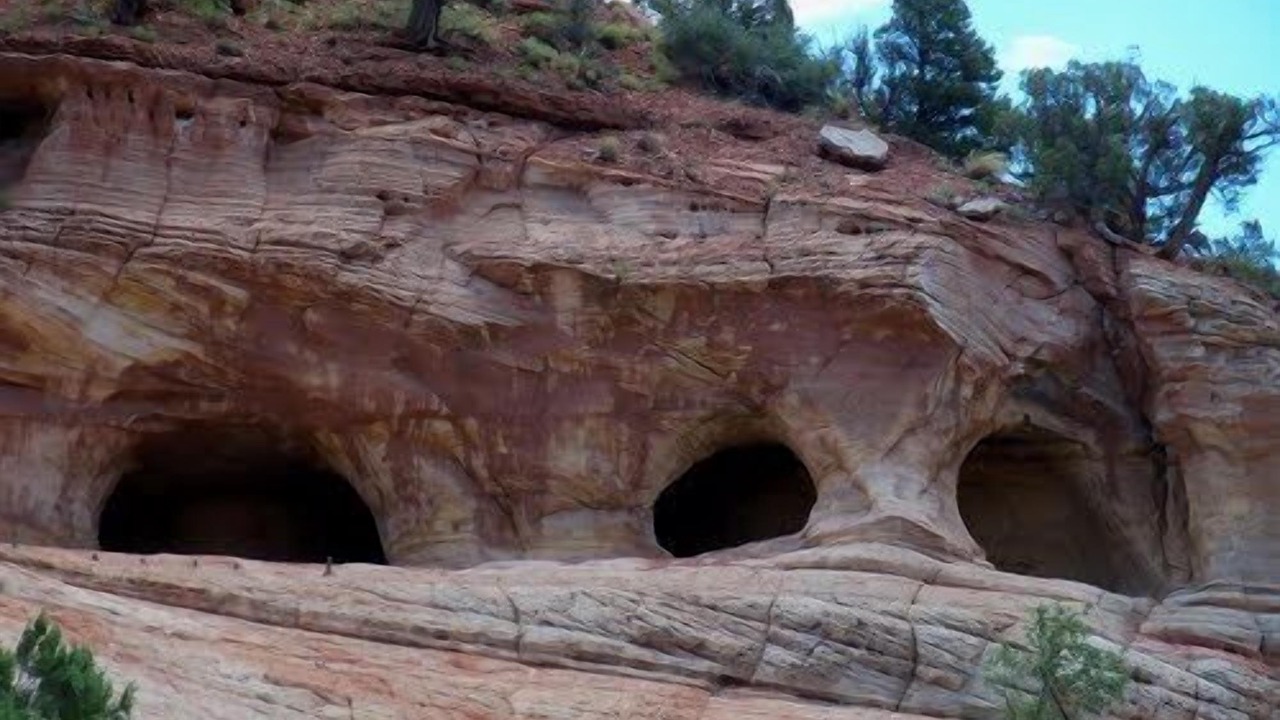 Photo of Others in Zion National Park East Entrance