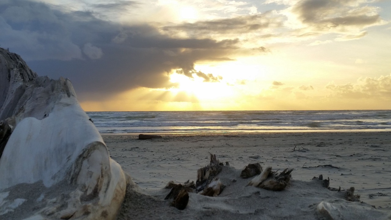 Photo of Others in Rockaway Beach
