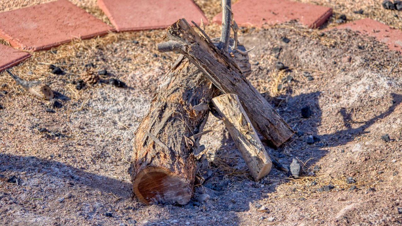 Photo of Outdoor in Pahrump