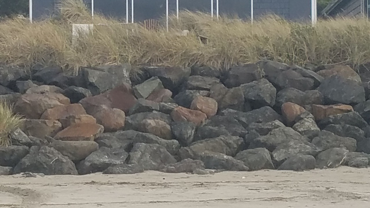 Photo of Others in Rockaway Beach