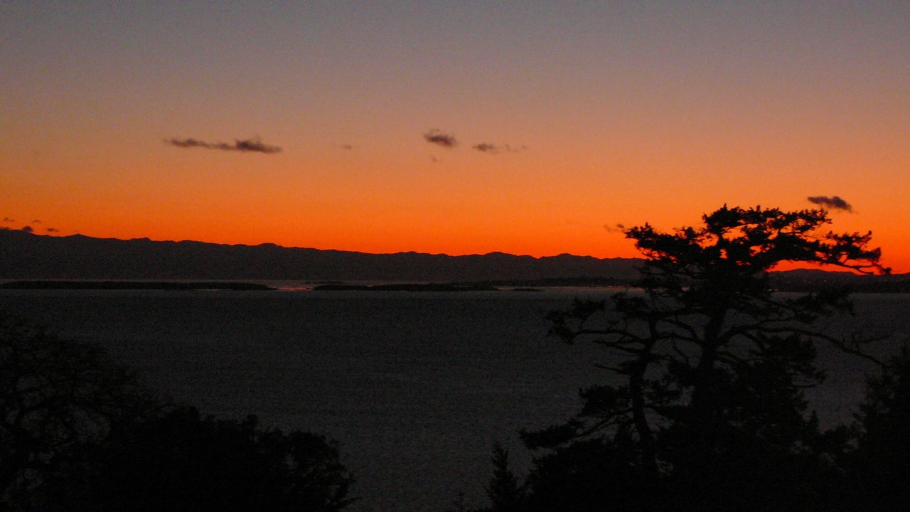 Photo of Others in Friday Harbor