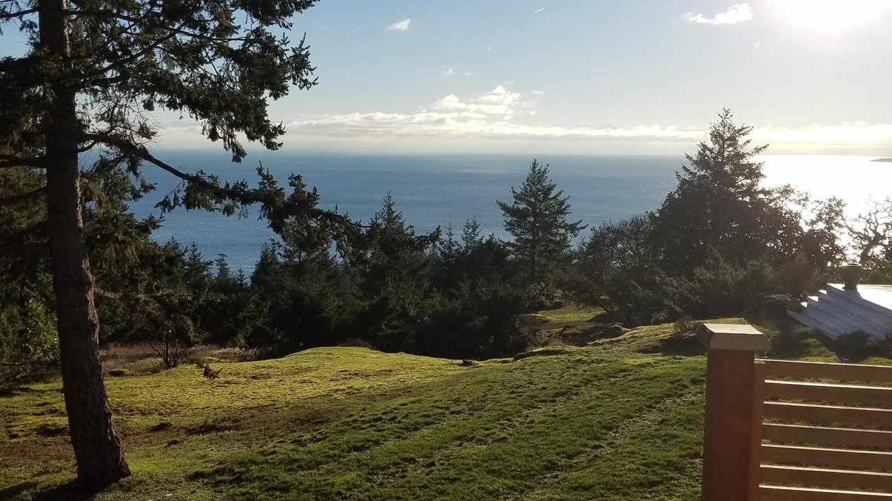 Photo of Others in Friday Harbor