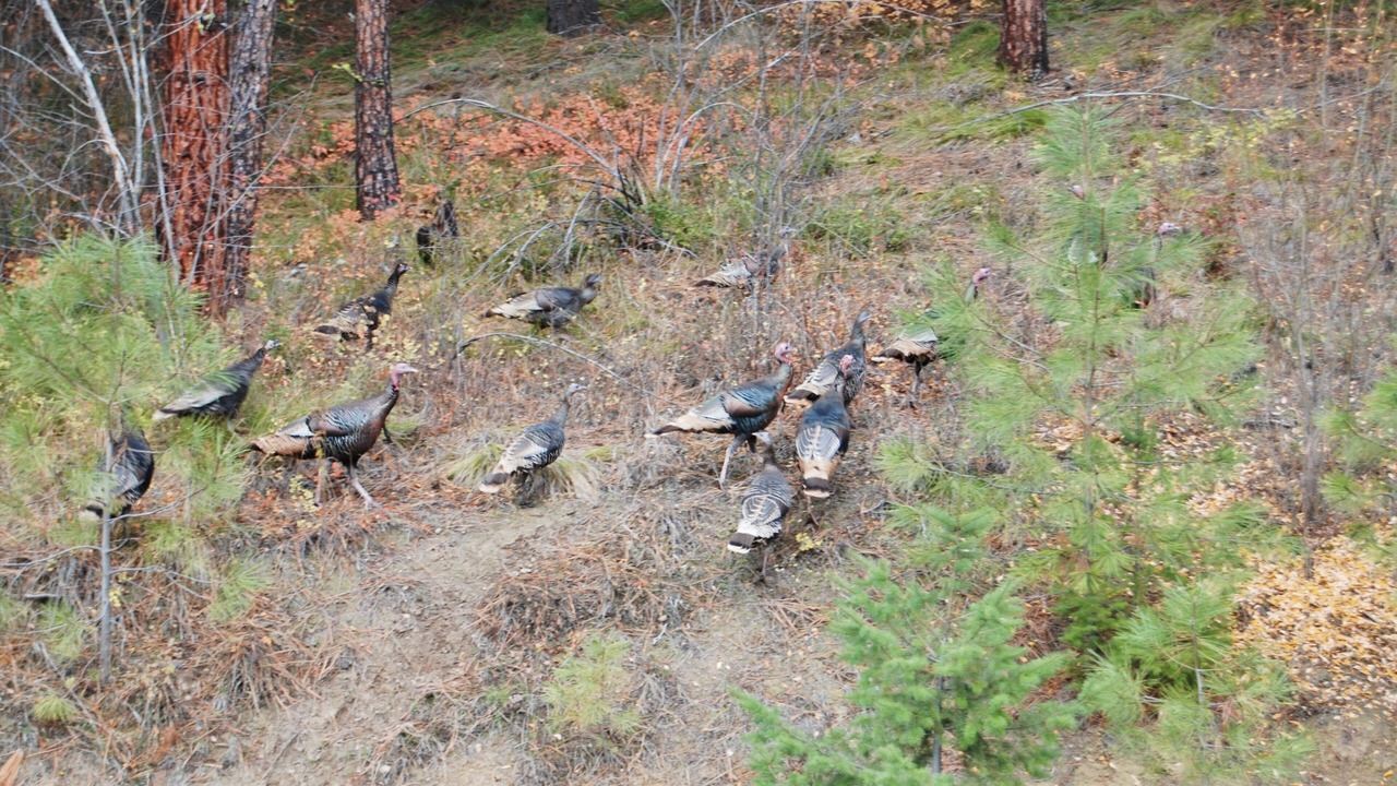 Photo of Outdoor in Leavenworth