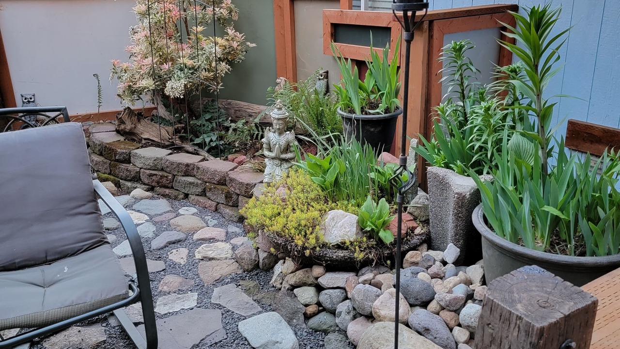 Photo of Outdoor in Cougar