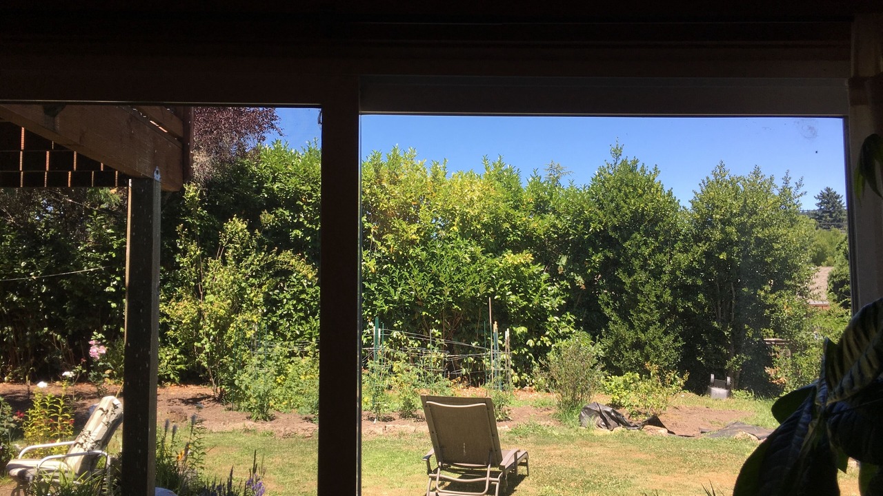 Photo of Outdoor in Corvallis