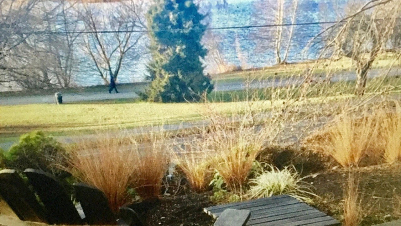 Photo of Outdoor in Green Lake