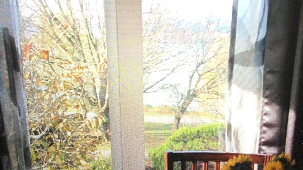 Photo of Others in Green Lake