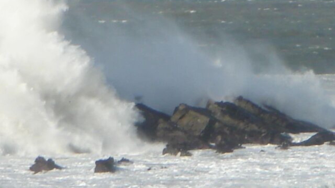 Photo of Others in Gualala