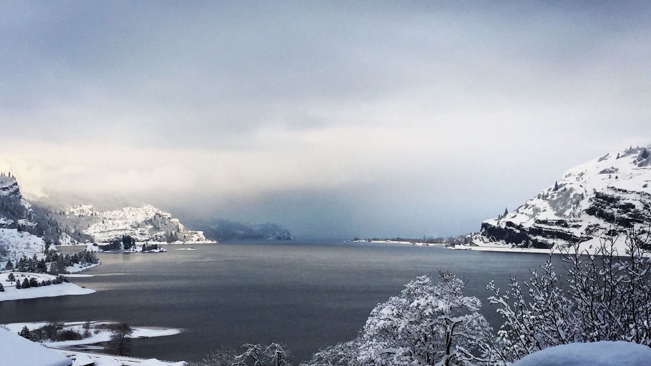 Photo of Others in Mosier
