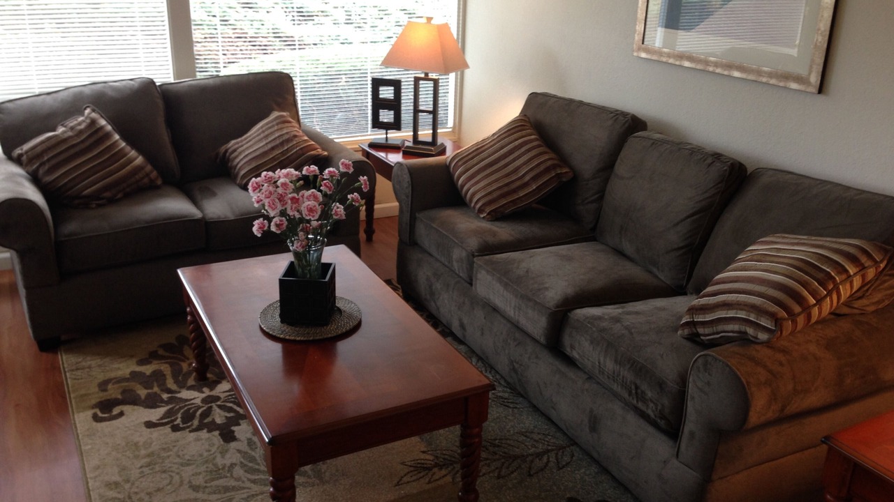 Photo of Livingroom in El Granada