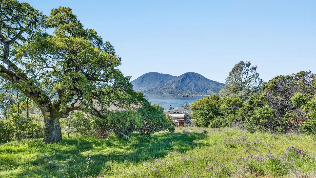 Photo of Outdoor in Clear Lake
